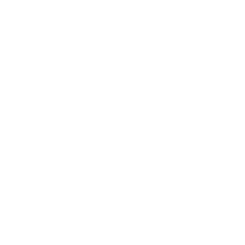 PARS Productions